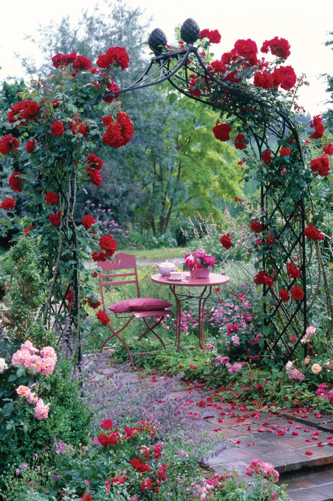 Climbing Rose Supports Make Fabulous Features For Smaller Gardens Classic Garden Elements